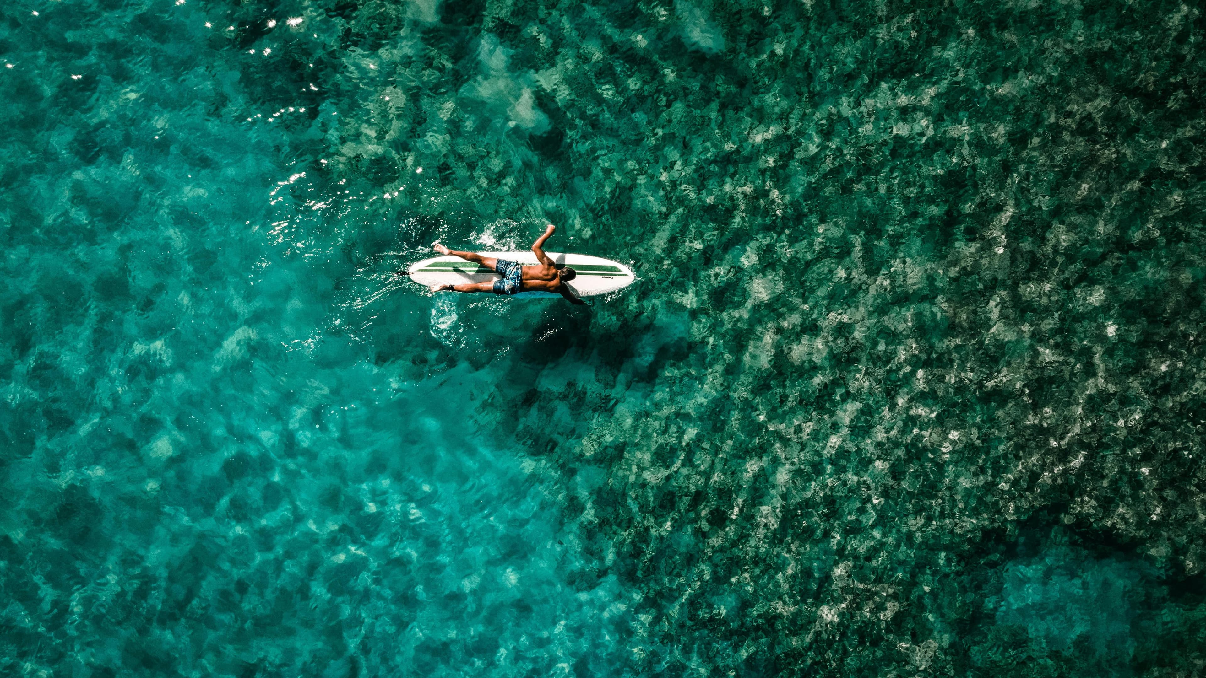 Surf, kitesurf and wingfoil lessons in Essaouira